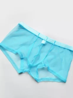 Underwear Lingerie Men Lingerie Male Sexy Panties Transparente Ture Red Lingerie