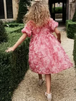 Wedding Flower Girl Dresses Special Occasion Dresses Pink Short Sleeves Ruffles