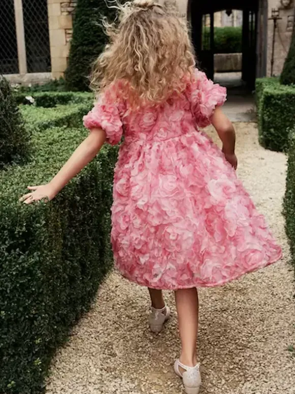 Wedding Flower Girl Dresses Special Occasion Dresses Pink Short Sleeves Ruffles