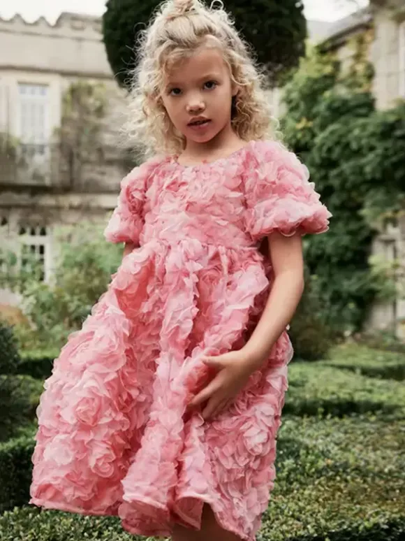 Wedding Flower Girl Dresses Special Occasion Dresses Pink Short Sleeves Ruffles