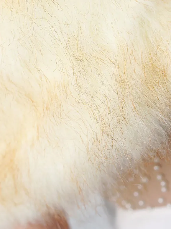 Wedding Wrap Beige Tops Faux Fur Bridal Cover Up