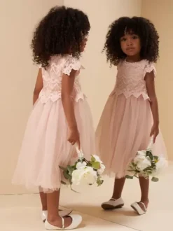 Wedding Flower Girl Dresses Special Occasion Dresses Soft Pink Short Sleeves Lace