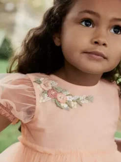 Wedding Flower Girl Dresses Special Occasion Dresses Soft Pink Short Sleeves Embroidered