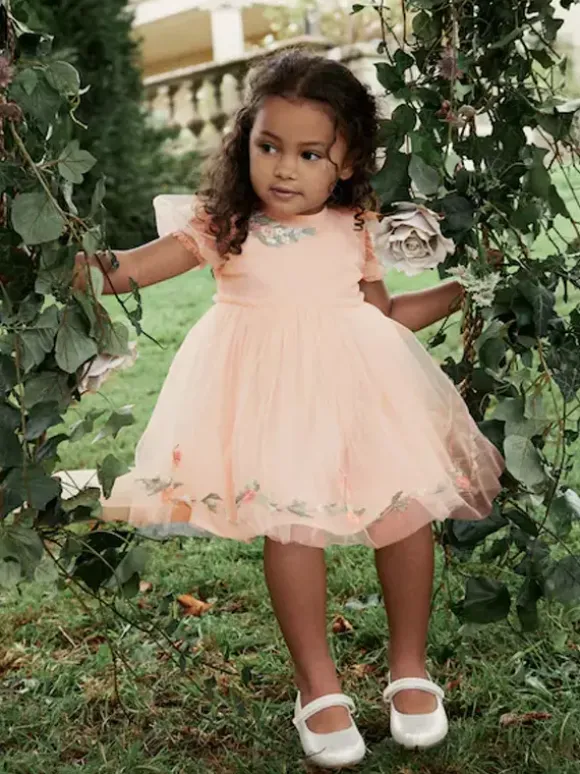 Wedding Flower Girl Dresses Special Occasion Dresses Soft Pink Short Sleeves Embroidered