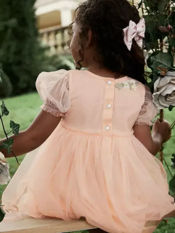 Wedding Flower Girl Dresses Special Occasion Dresses Soft Pink Short Sleeves Embroidered