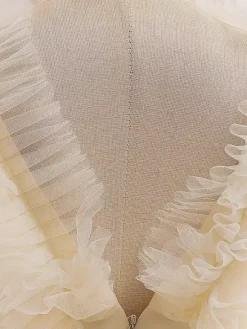 White Flower Girl Dresses Special Occasion Dresses Champagne Tulle Sleeveless V-Neck Flower Girl Dresses