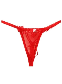 Women Sexy Thong Lace Nylon Hearts T Back